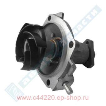    /  .   2121, 2123, ( ) "",  