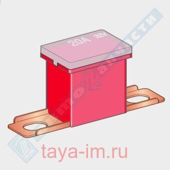  JAPVAL MALE 48 MTA 50A