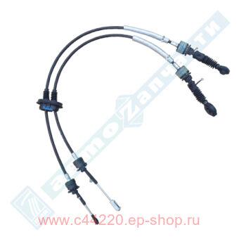      2180-2181 ( ), (21901-1703113-10)